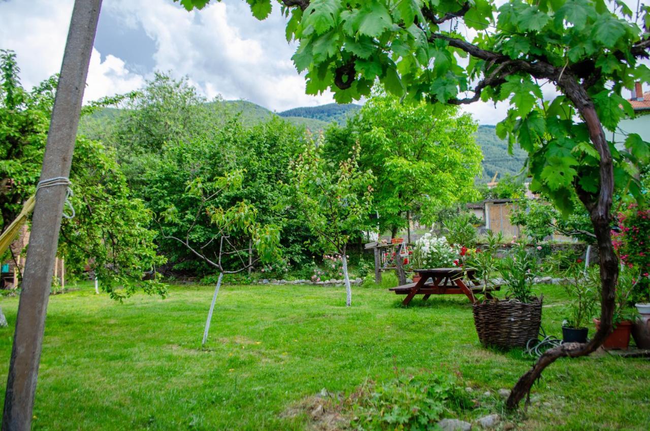 Danailovi Guest House Sapareva Banya Exterior photo
