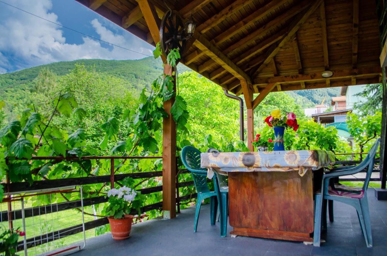 Danailovi Guest House Sapareva Banya Exterior photo