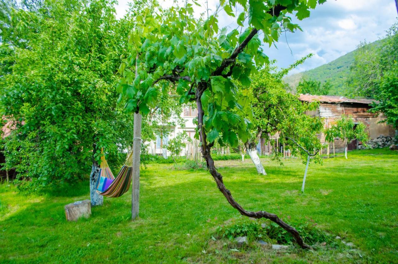 Danailovi Guest House Sapareva Banya Exterior photo